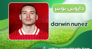 بیوگرافی داروین نونیز - darwin nunez