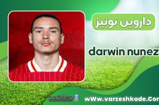 بیوگرافی داروین نونیز - darwin nunez