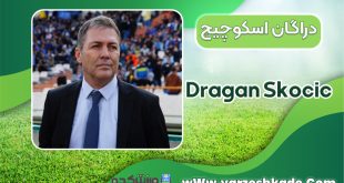 بیوگرافی دراگان اسکوچیچ - Dragan Skocic