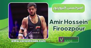بیوگرافی امیرحسین فیروزپور