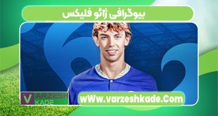 بیوگرافی ژائو فلیکس