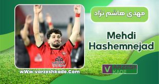 مهدی هاشم نژاد