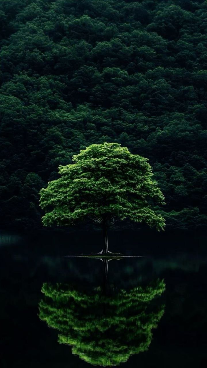 عکس پروفایل خاص تابستانی