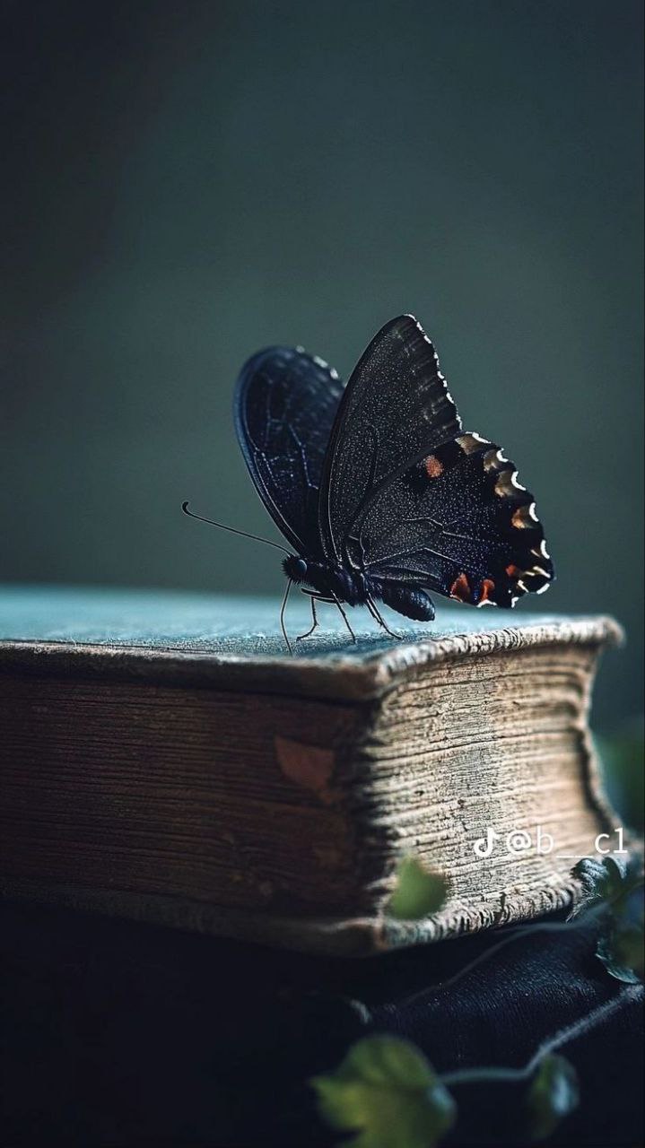 عکس پروفایل خاص روشن