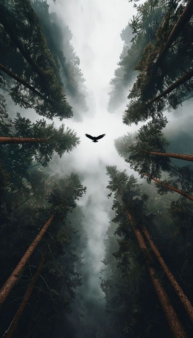 عکس پروفایل خاص متحرک