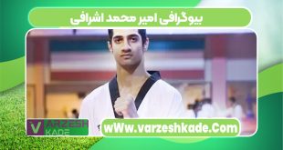 بیوگرافی امیر محمد اشرافی