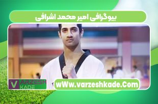 بیوگرافی امیر محمد اشرافی