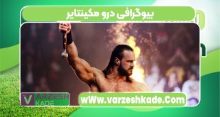 بیوگرافی درو مکینتایر