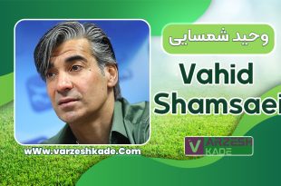 بیوگرافی وحید شمسایی - Vahid Shamsaei