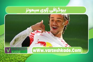 بیوگرافی ژاوی سیمونز