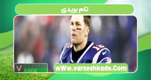 تام بریدی