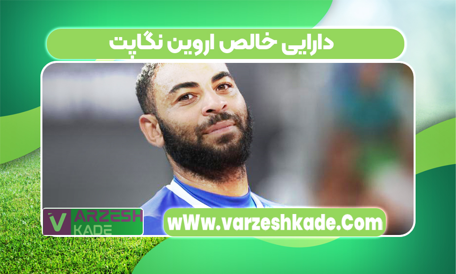دارایی خالص اروین نگاپت