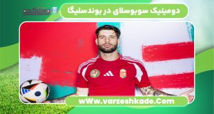دومینیک سوبوسلای در بوندسلیگا