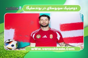 دومینیک سوبوسلای در بوندسلیگا