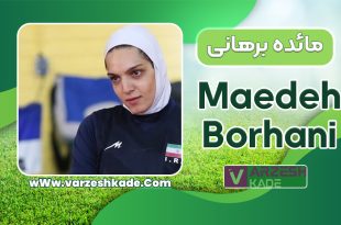 مائده برهانی