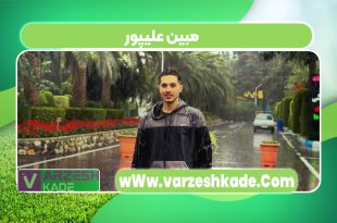 مبین علیپور