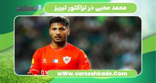 محمد محبی در تراکتور تبریز