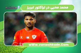 محمد محبی در تراکتور تبریز