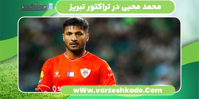 محمد محبی در تراکتور تبریز