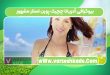 بیوگرافی آدریانا چچیک پورن استار مشهور