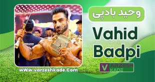 بیوگرافی وحید بادپی