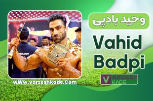 بیوگرافی وحید بادپی