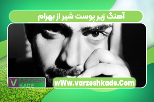 آهنگ زیر پوست شیر از بهرام