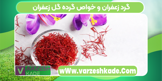گرد زعفران و خواص گرده گل زعفران