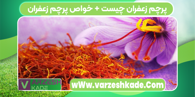 پرچم زعفران چیست؟ (خواص پرچم زعفران )
