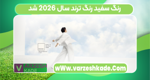 رنگ سفید رنگ ترند سال 2026 شد